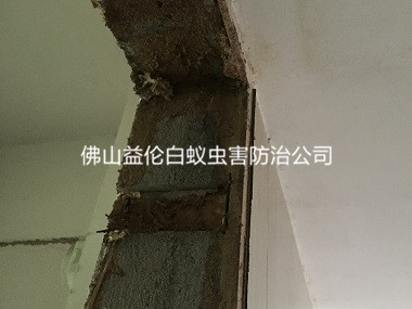 和顺白蚁防治新房屋门框蚁害