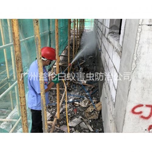 钟落潭建筑白蚁预防工程