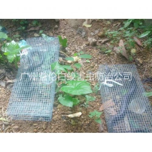 竹料上门驱蛇防蛇工程
